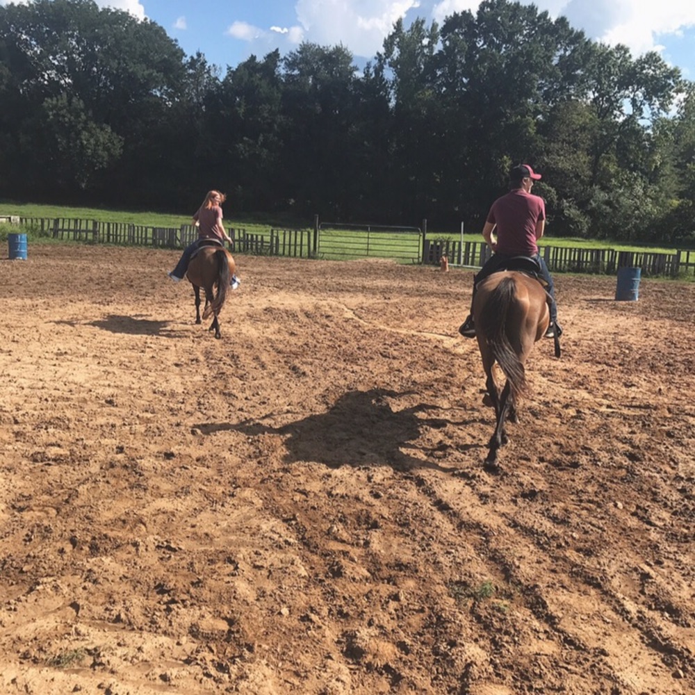 Horse tack sale!